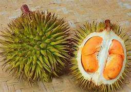 Makanan dan Minuman yang Tidak Boleh Dikonsumsi Bersamaan dengan Durian